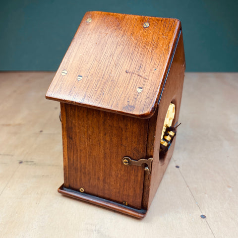#331 Wild Hive, Antique Clock Case