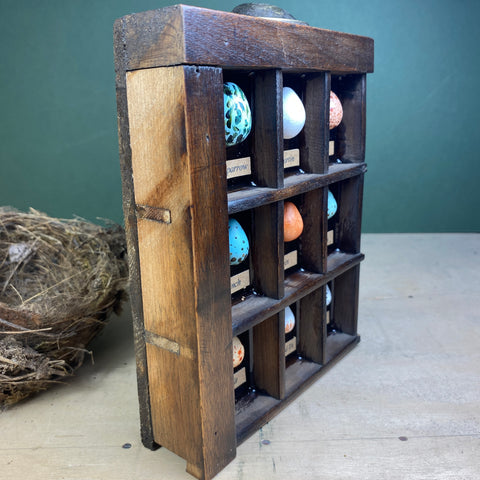 #605 Garden Bird Eggs