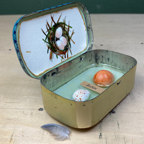 #008 Bird Eggs Vintage Tin