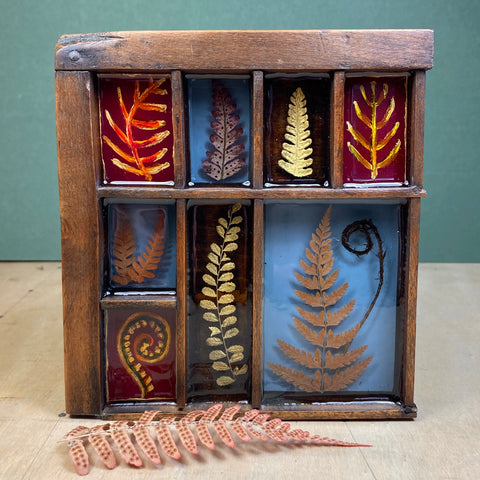 #357 Garden Ferns