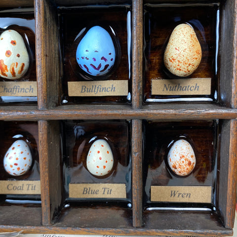 #275 Garden Bird Eggs