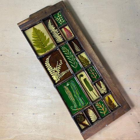 #574 Garden Ferns - Large Piece