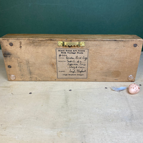 #606 Garden Bird Eggs