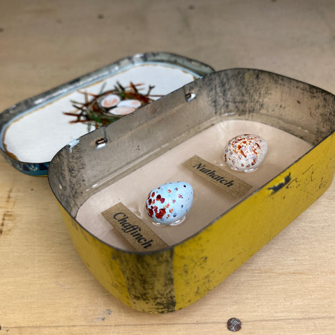 #016 Bird Eggs Vintage Tin