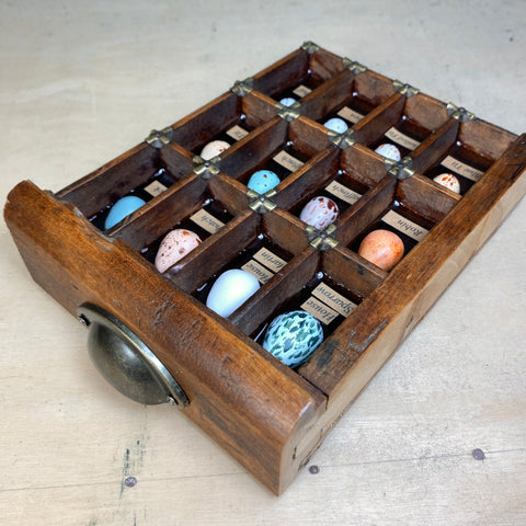 #601 Garden Bird Eggs