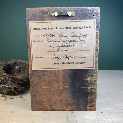 #599 Garden Bird Eggs