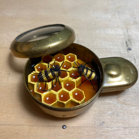 #557 Secret Hive