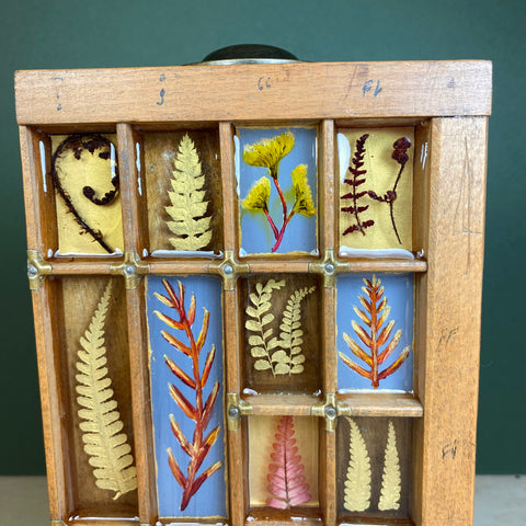 #406 Garden Ferns