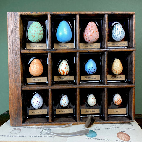 #275 Garden Bird Eggs