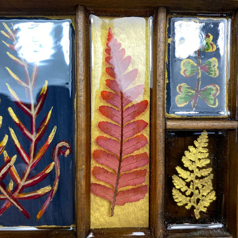 #241 Garden Ferns