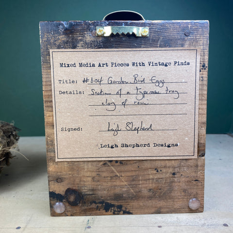 #604 Garden Bird Eggs