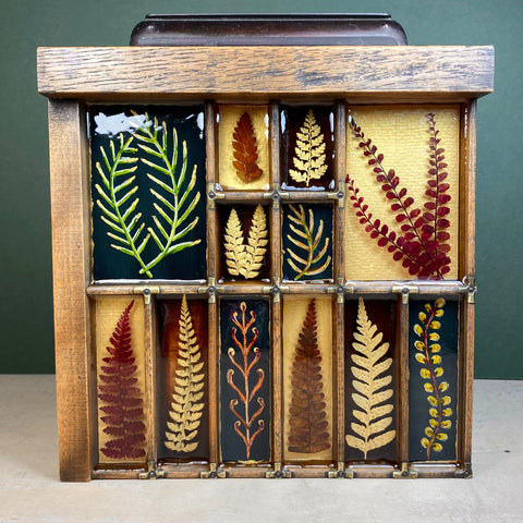 #593 Garden Ferns