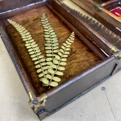 #361 Garden Ferns