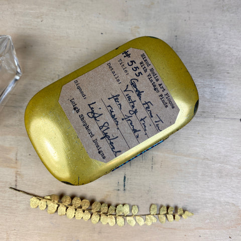 #555 Vintage Fern Tin
