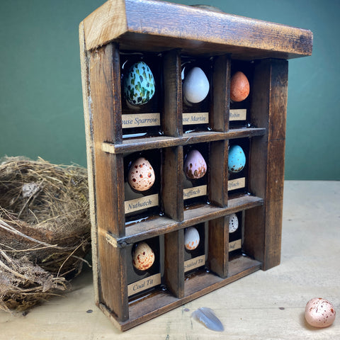 #604 Garden Bird Eggs