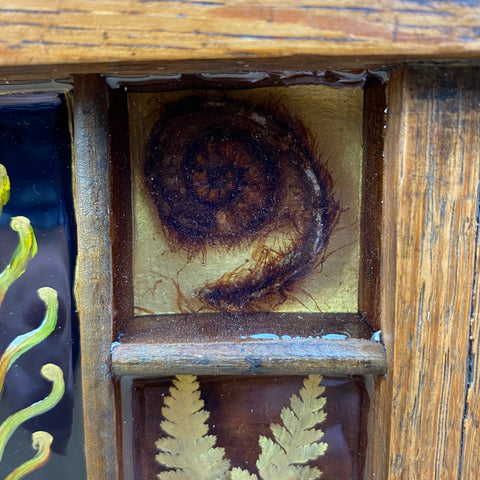 #552 Garden Ferns