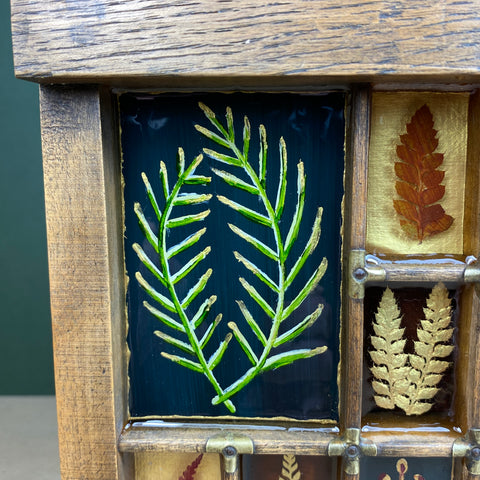 #593 Garden Ferns