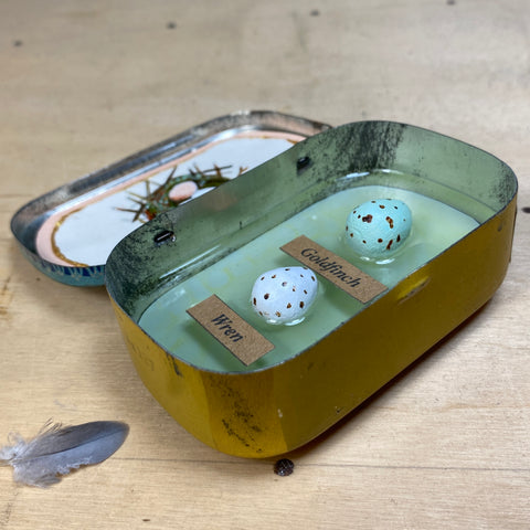 #018 Bird Eggs Vintage Tin