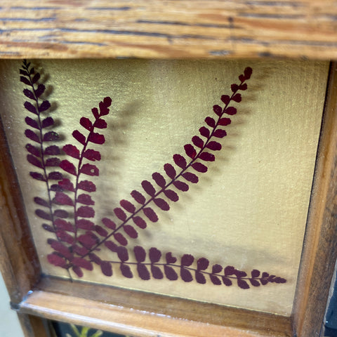 #552 Garden Ferns