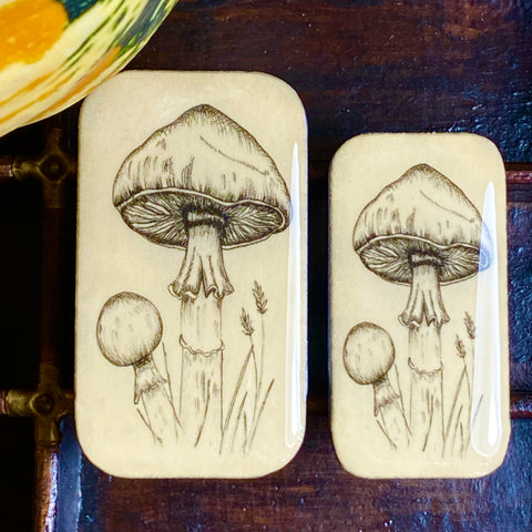 Tin Only Mushroom