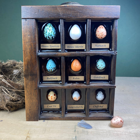 #605 Garden Bird Eggs