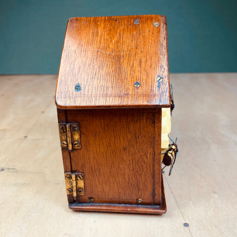 #331 Wild Hive, Antique Clock Case