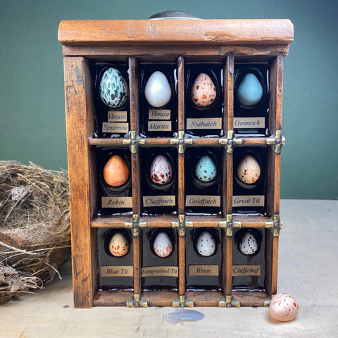 #601 Garden Bird Eggs