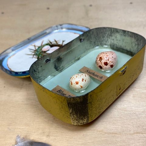 #020 Bird Eggs Vintage Tin
