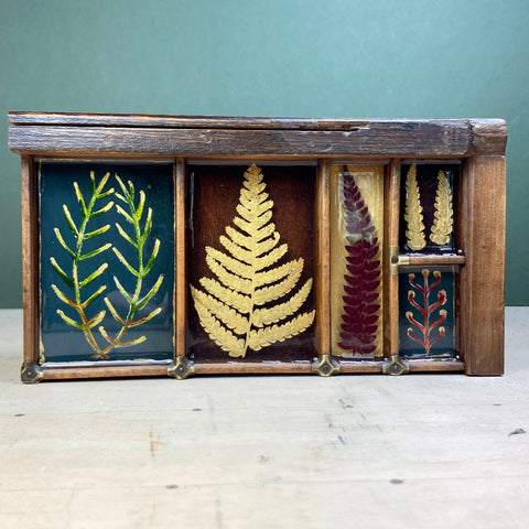 #563 Garden Ferns