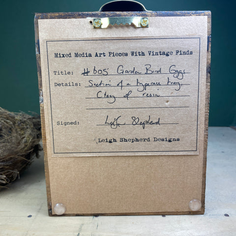 #605 Garden Bird Eggs
