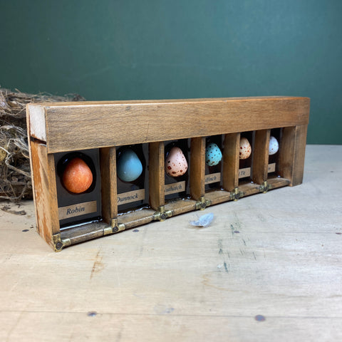 #606 Garden Bird Eggs