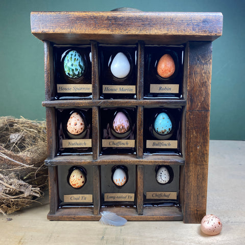 #604 Garden Bird Eggs