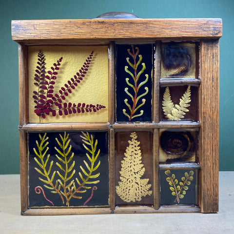 #552 Garden Ferns