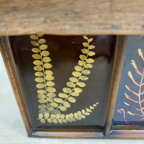 #241 Garden Ferns