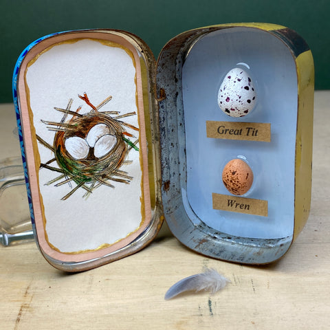 #010 Bird Eggs Vintage Tin