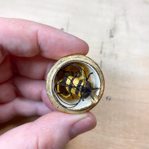 #194 Secret Hive